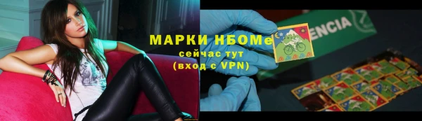 ECSTASY Алзамай