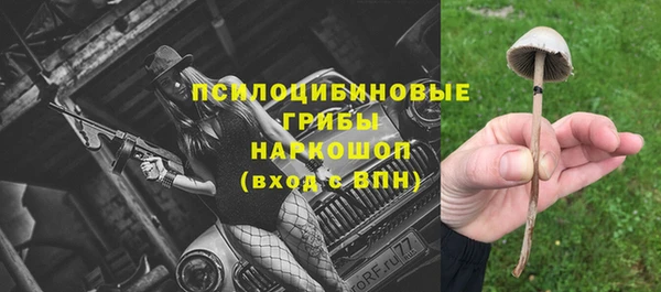 ECSTASY Алзамай